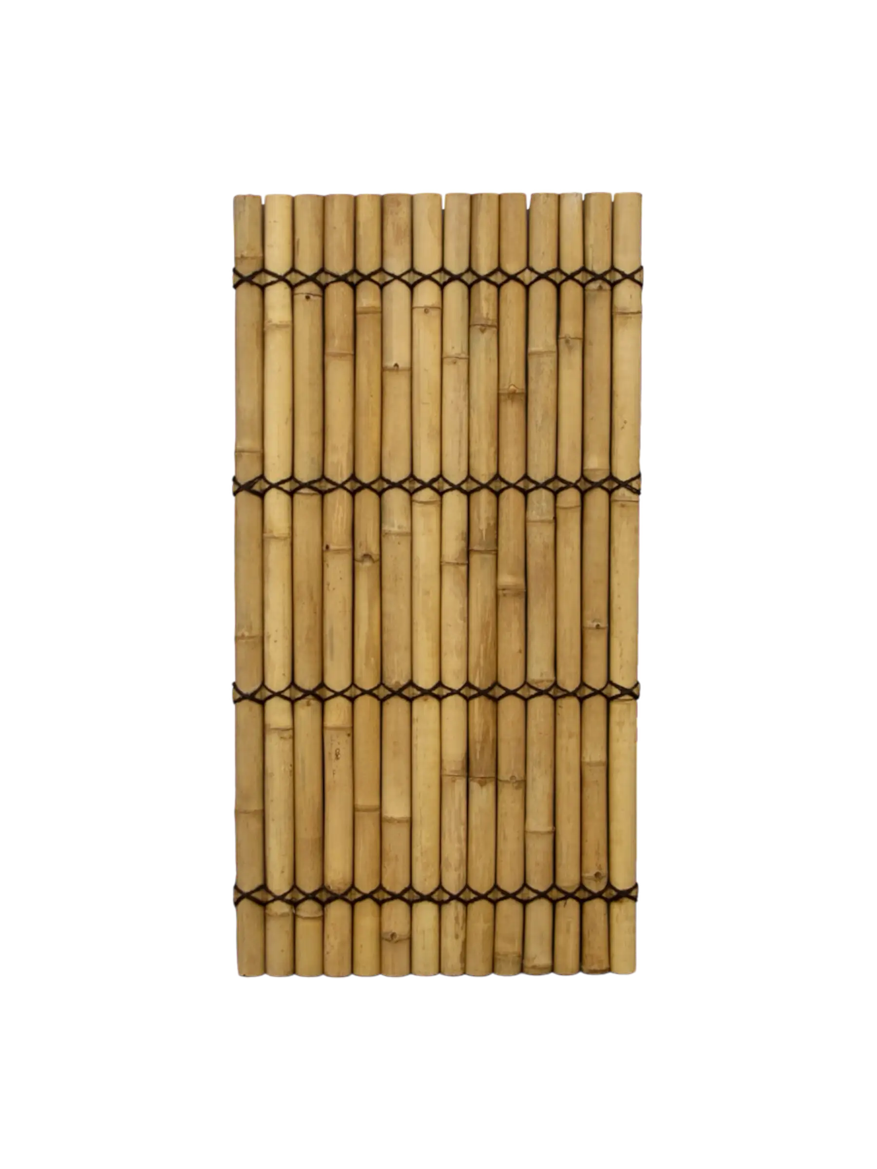 Bamboo Fence Apus
